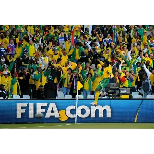 会员权益焕新