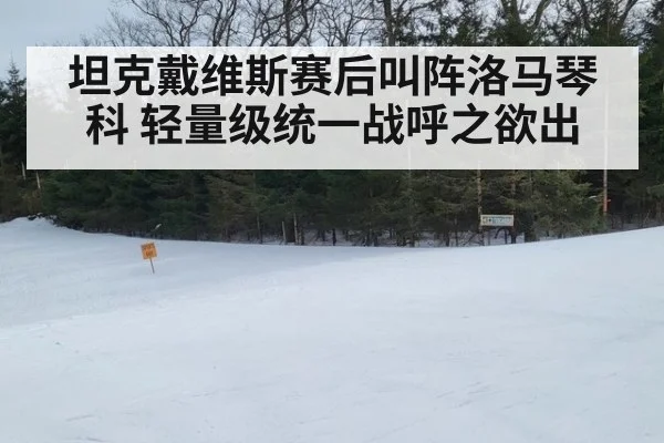 坦克戴维斯赛后叫阵洛马琴科 轻量级统一战呼之欲出
