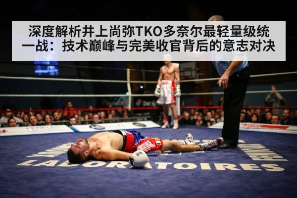 深度解析井上尚弥TKO多奈尔最轻量级统一战：技术巅峰与完美收官背后的意志对决