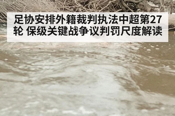 足协安排外籍裁判执法中超第27轮 保级关键战争议判罚尺度解读